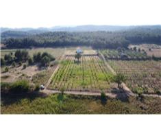 10.668 m² Organik Tarım Sertifikasına Sahip Yapı Kayıt Belgeli