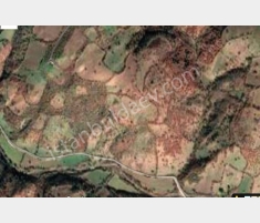 Çanakkale'de Satılık 12.850 m2 Tarla Çan Kumarlar Mevki
