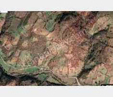 Çanakkale'de Satılık Tarla 6.650 m2 Çan Kumarlar Mevki